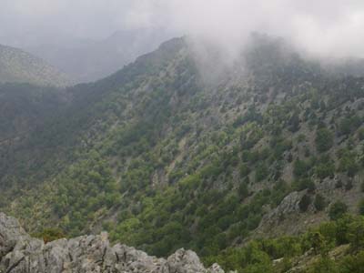 Adana Kozan Kabaktepe Köyü Resimleri 18