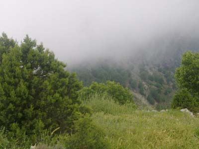 Adana Kozan Kabaktepe Köyü Resimleri 19