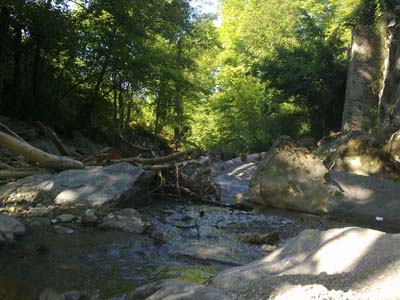Adana Kozan Kabaktepe Köyü Resimleri 22