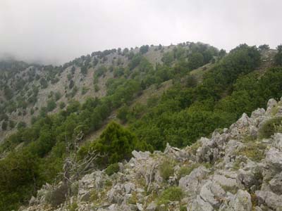 Adana Kozan Kabaktepe Köyü Resimleri 23