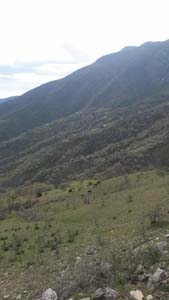 Adana Kozan Kabaktepe Köyü Resimleri 25