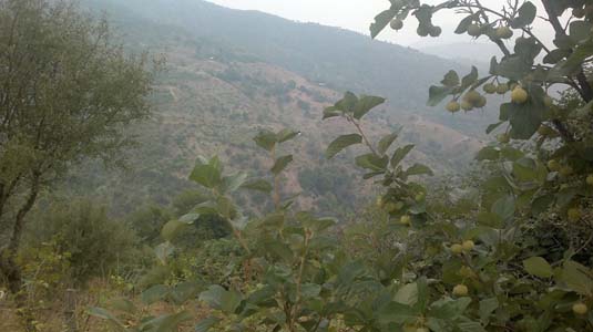 Adana Kozan Kabaktepe Köyü Resimleri 26