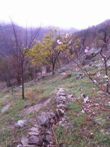 Adana Kozan Kabaktepe Köyü Resimleri 5