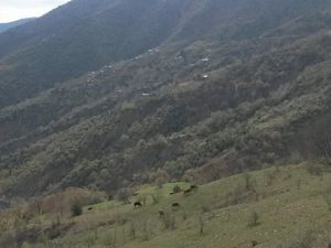 Adana Kozan Kabaktepe Köyü Resimleri