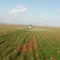 Çınar Altınakar Köyü Resimleri 9