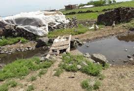 Çınar Arafat Köyü Resimleri 2