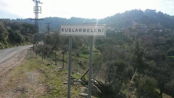 Koçarlı Kuşlarbeleni Köyü Resimleri 1