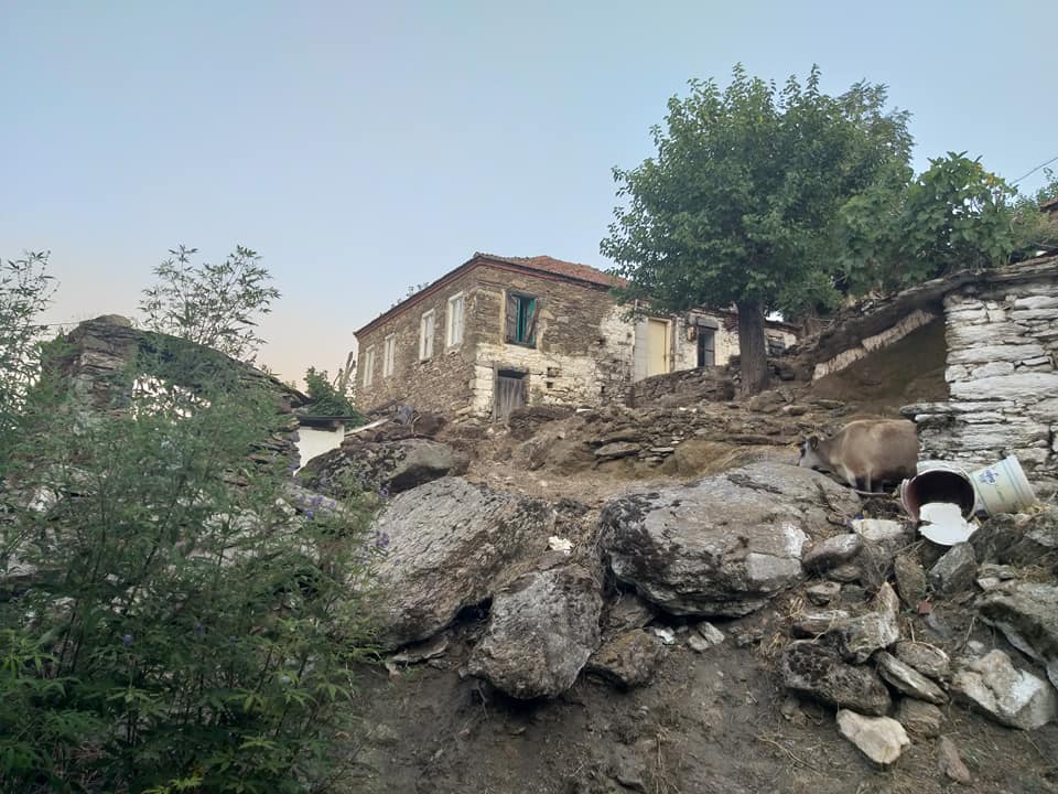 Koçarlı Kuşlarbeleni Köyü Resimleri 2