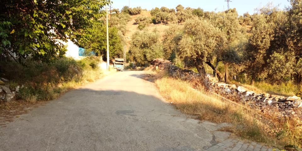 Koçarlı Tığıllar Köyü Resimleri 3