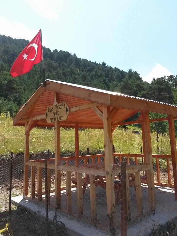 Doğanşar Çalıcı Köyü Resimleri 10