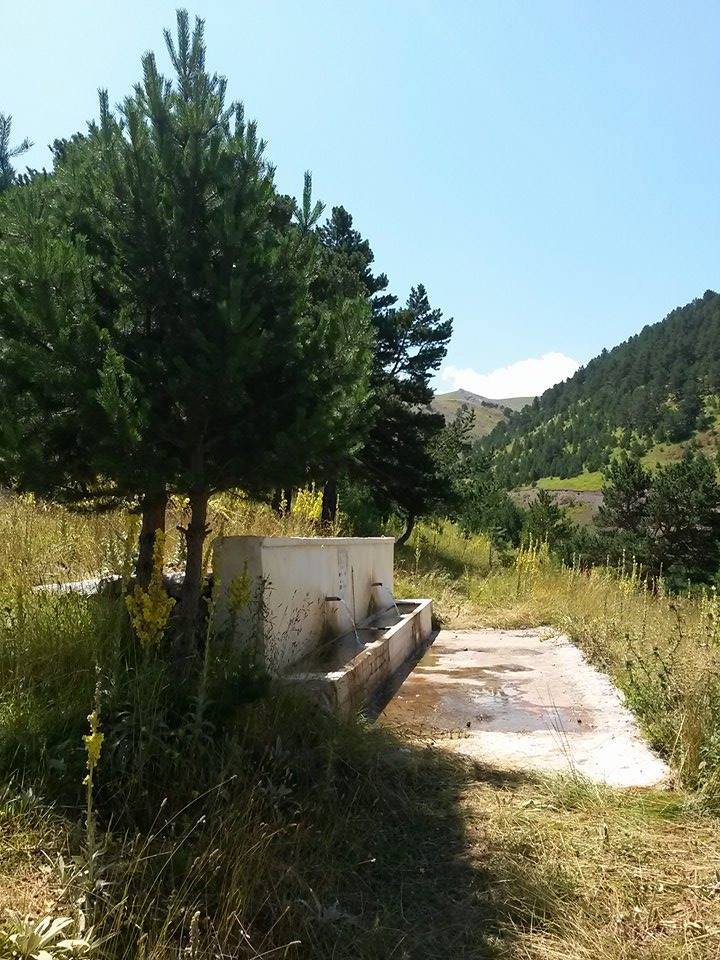 Doğanşar Çalıcı Köyü Resimleri 15