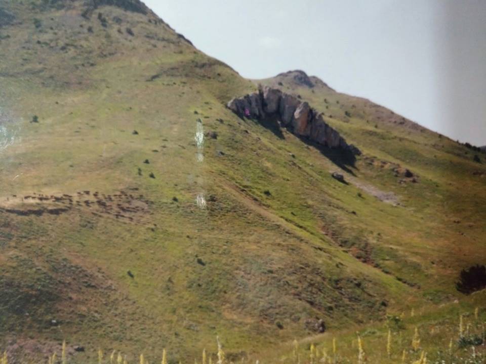 Doğanşar Çalıcı Köyü Resimleri 2