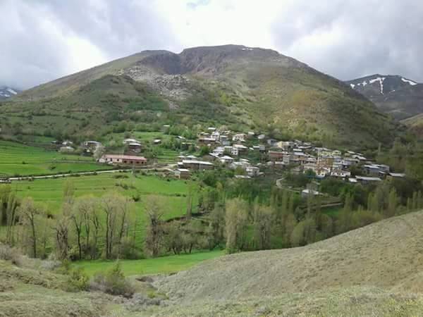 Doğanşar Çalıcı Köyü Resimleri 5