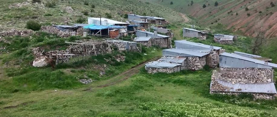 Doğanşar Çalıcı Köyü Resimleri 7