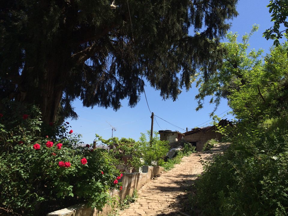 Köşk Gündoğan Köyü Resimleri 4