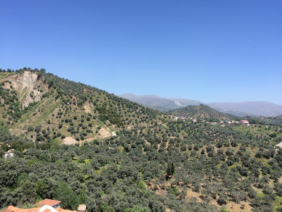 Köşk Gündoğan Köyü Resimleri 5