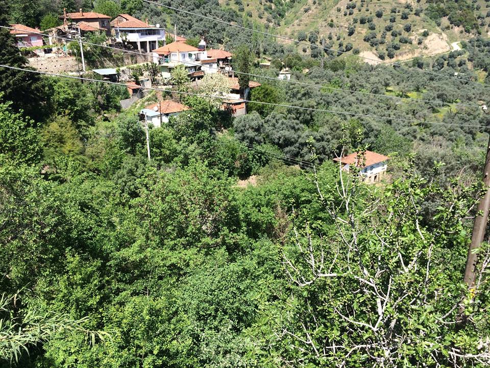 Köşk Gündoğan Köyü Resimleri 6