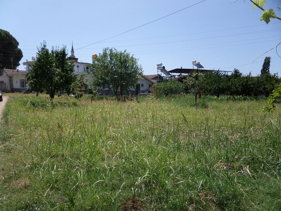 Köşk Ova Köyü Resimleri 5