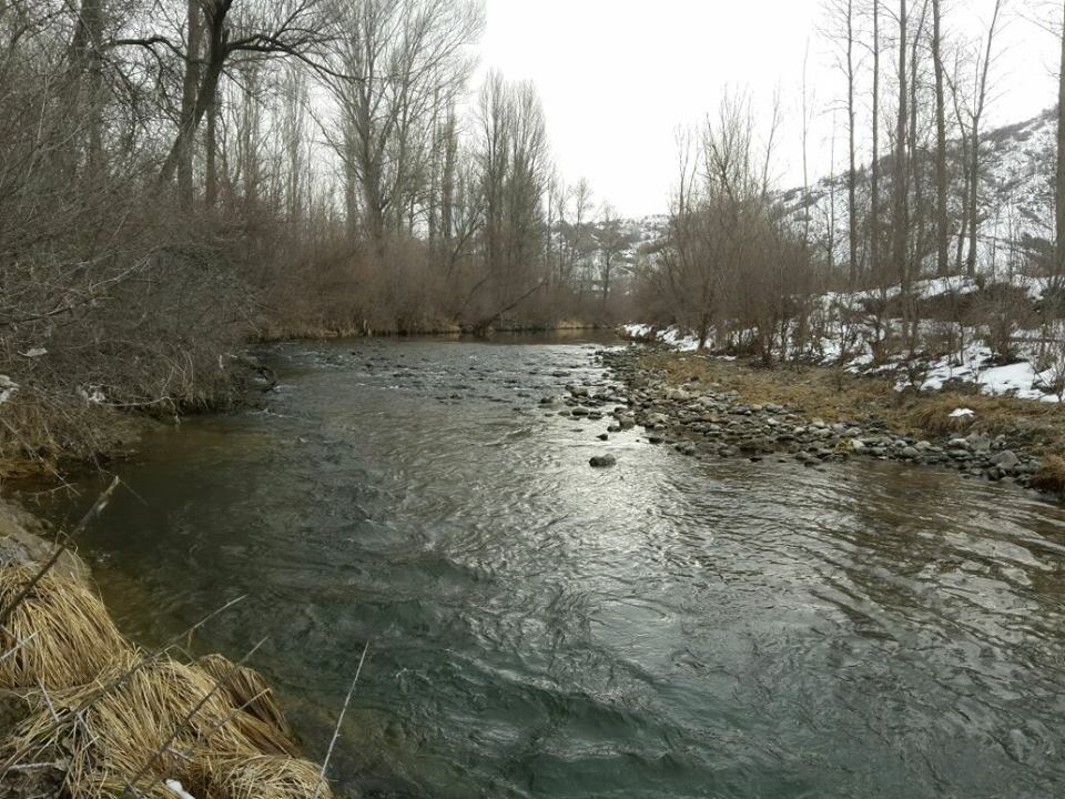Doğanşar Ekinciler Köyü Resimleri 1