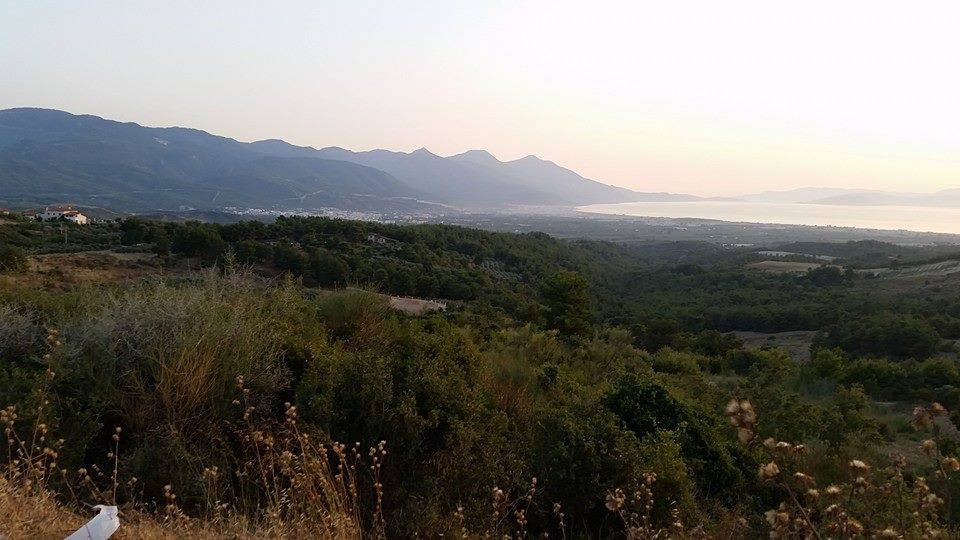 Kuşadası Caferli Köyü Resimleri 6