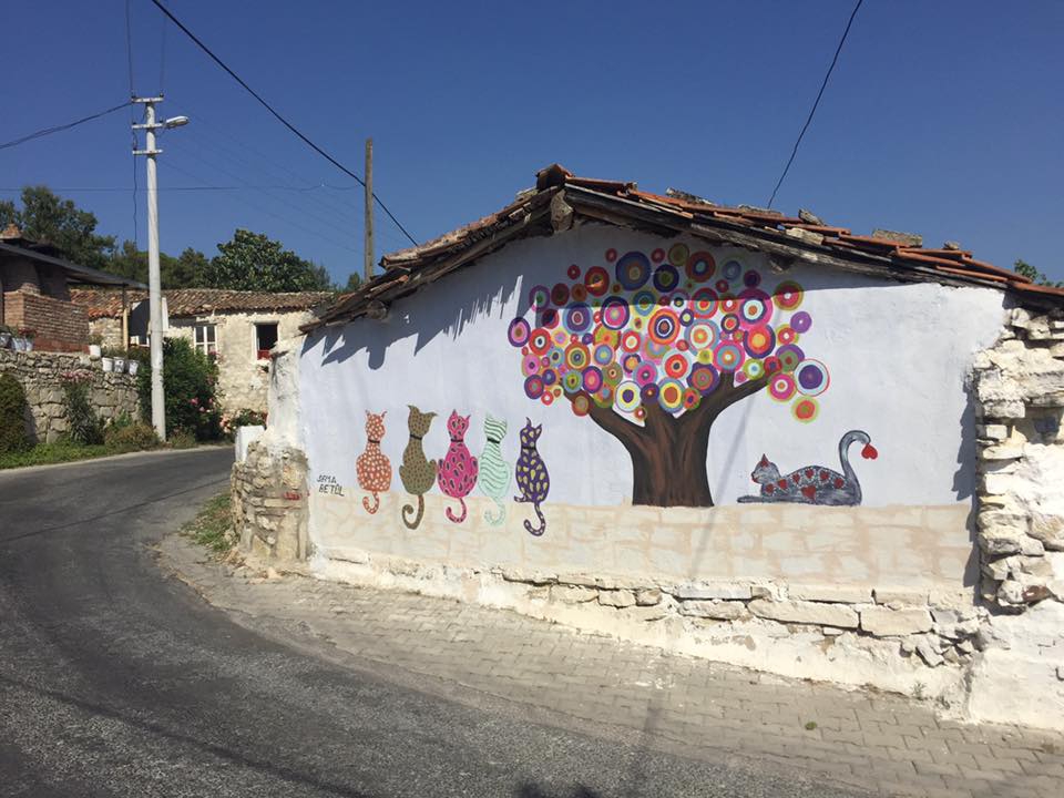 Kuşadası Caferli Köyü Resimleri 7