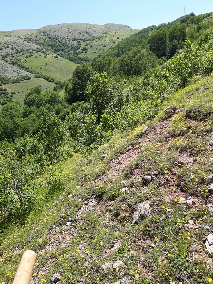 Doğanşar Göçüköy Köyü Resimleri 1