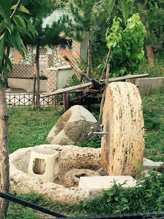 Doğanşar Göçüköy Köyü Resimleri 11