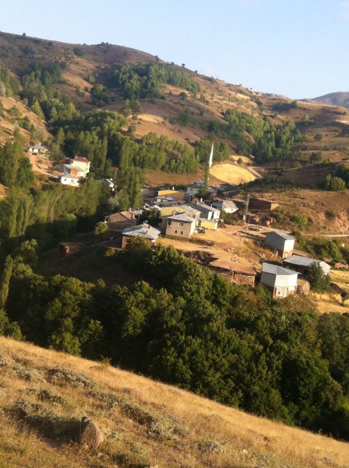 Doğanşar Göçüköy Köyü Resimleri 18