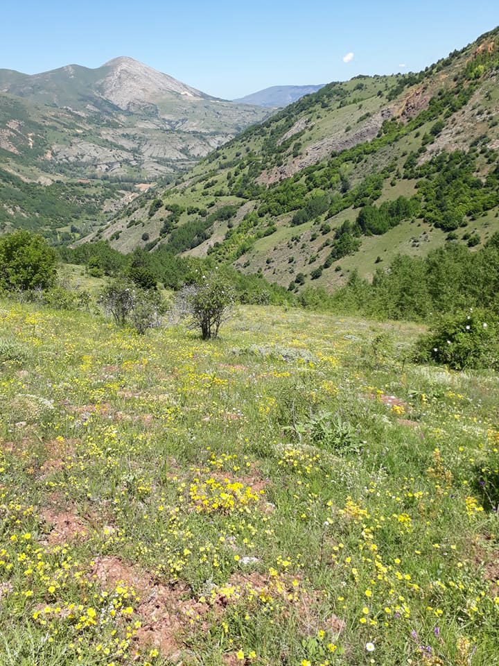 Doğanşar Göçüköy Köyü Resimleri 19