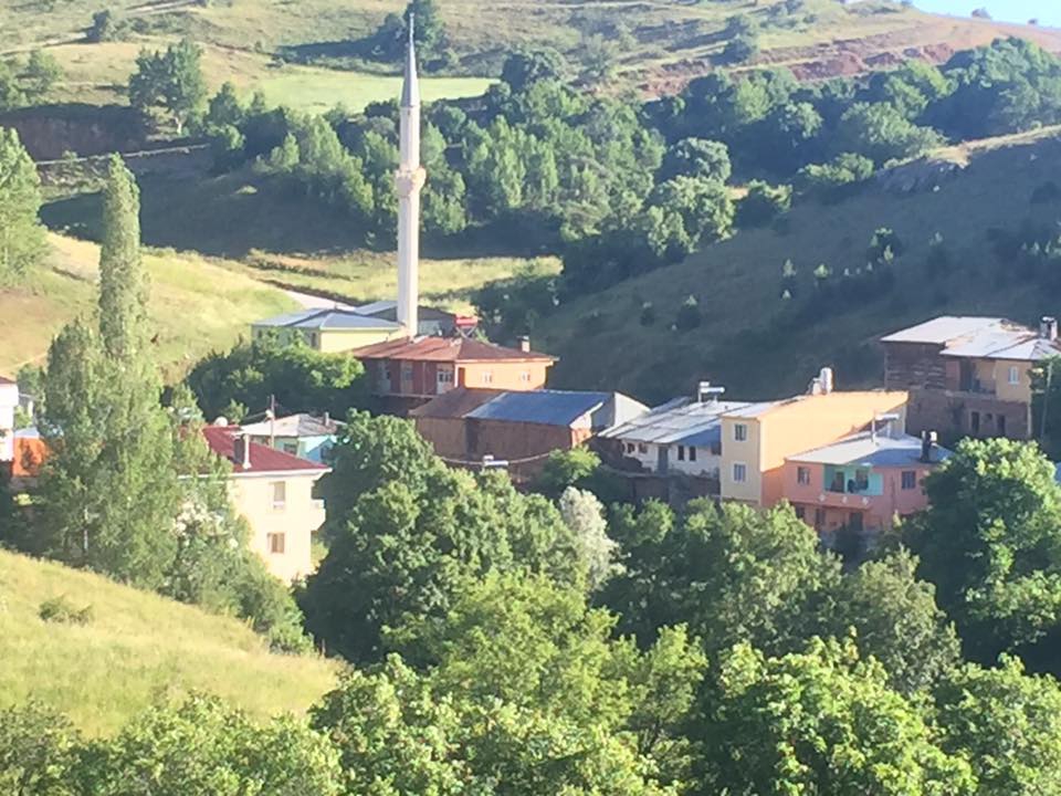 Doğanşar Göçüköy Köyü Resimleri 2