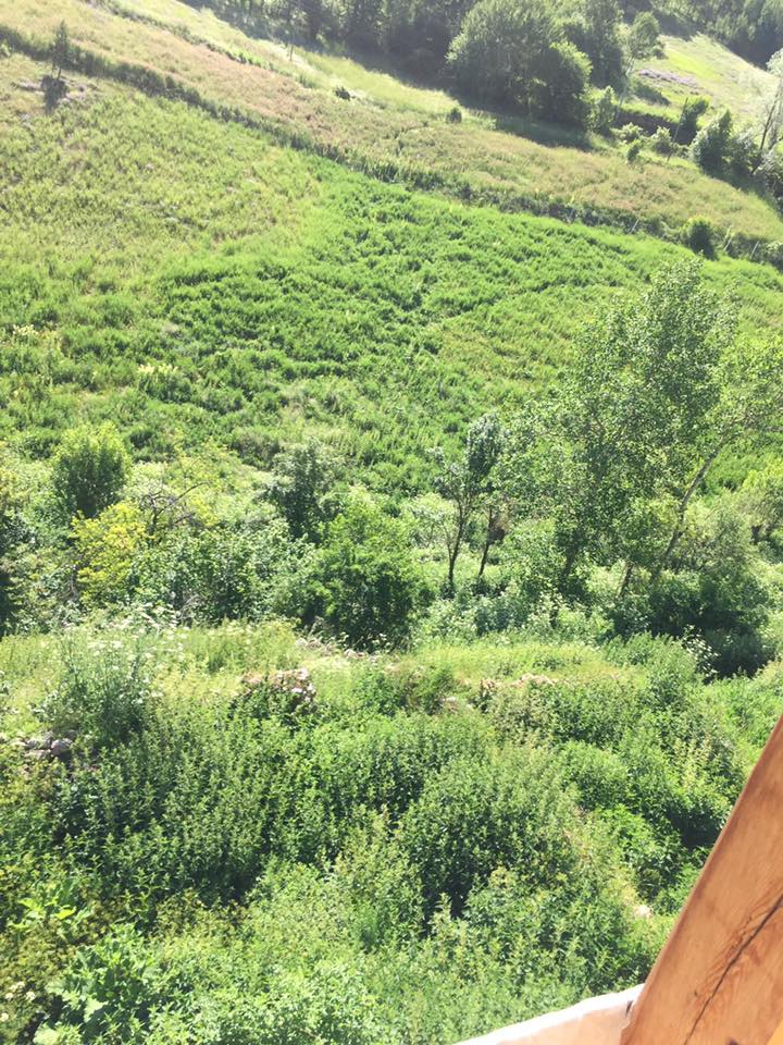 Doğanşar Göçüköy Köyü Resimleri 20