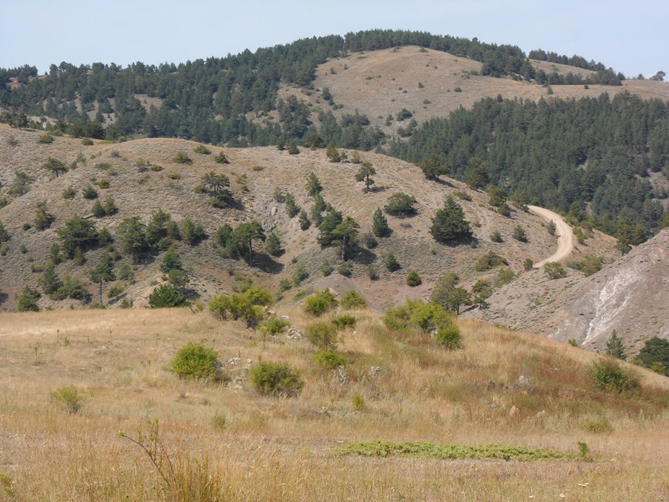 Doğanşar Kabaçam Köyü Resimleri 11