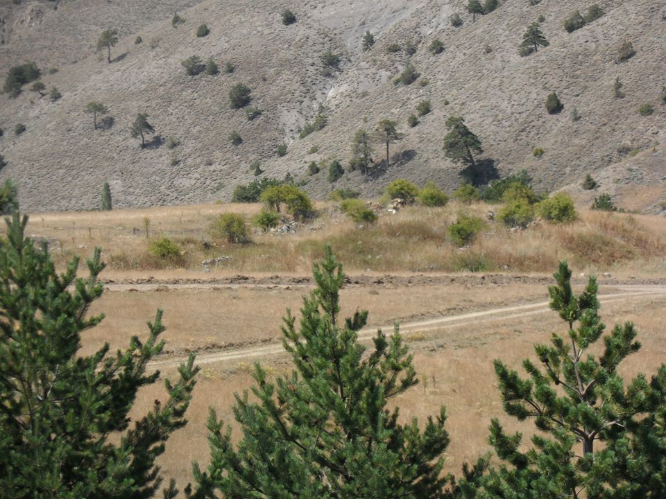 Doğanşar Kabaçam Köyü Resimleri 15
