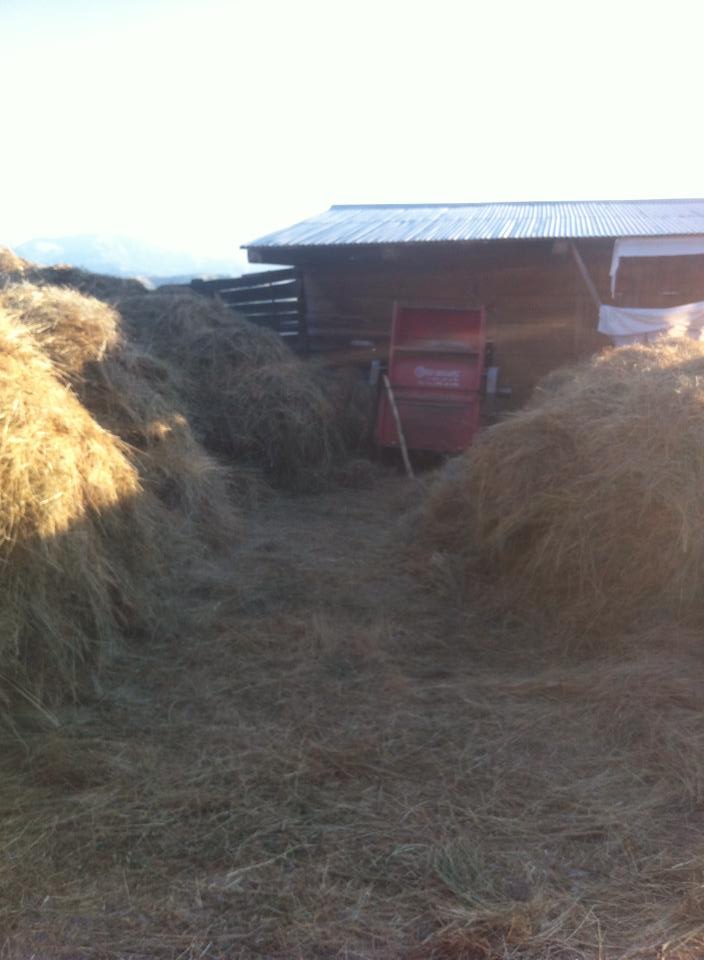 Doğanşar Kabaçam Köyü Resimleri 2