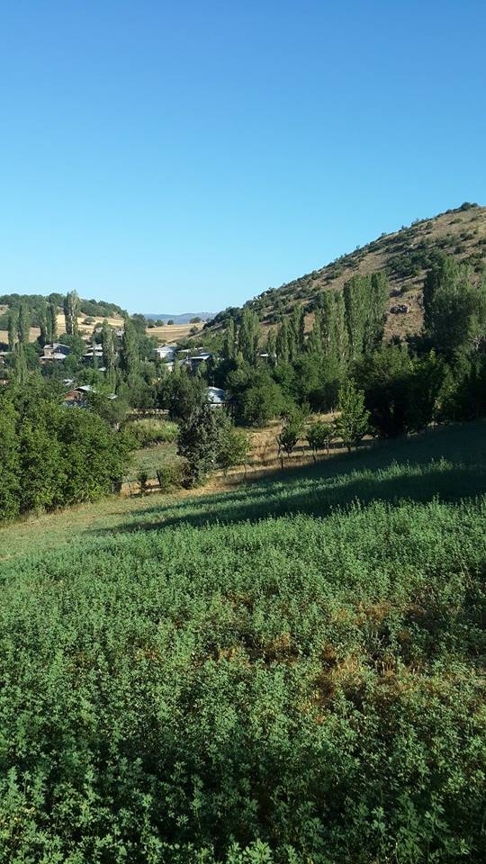 Doğanşar Kabaçam Köyü Resimleri 8