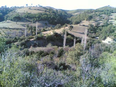 Adana Kozan Kızıllar Köyü Resimleri 22