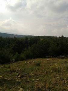 Adana Kozan Kızıllar Köyü Resimleri 5