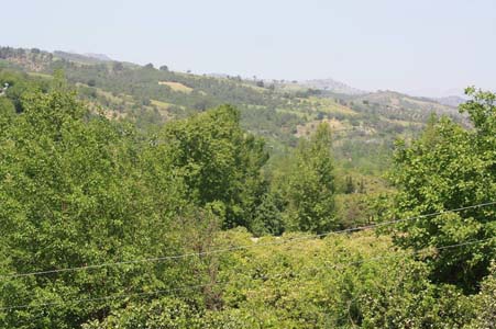 Adana Kozan Kızıllar Köyü Resimleri 8