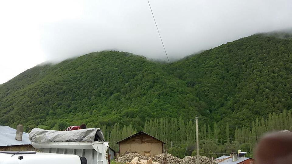 Doğanşar Kozağaç Köyü Resimleri 12