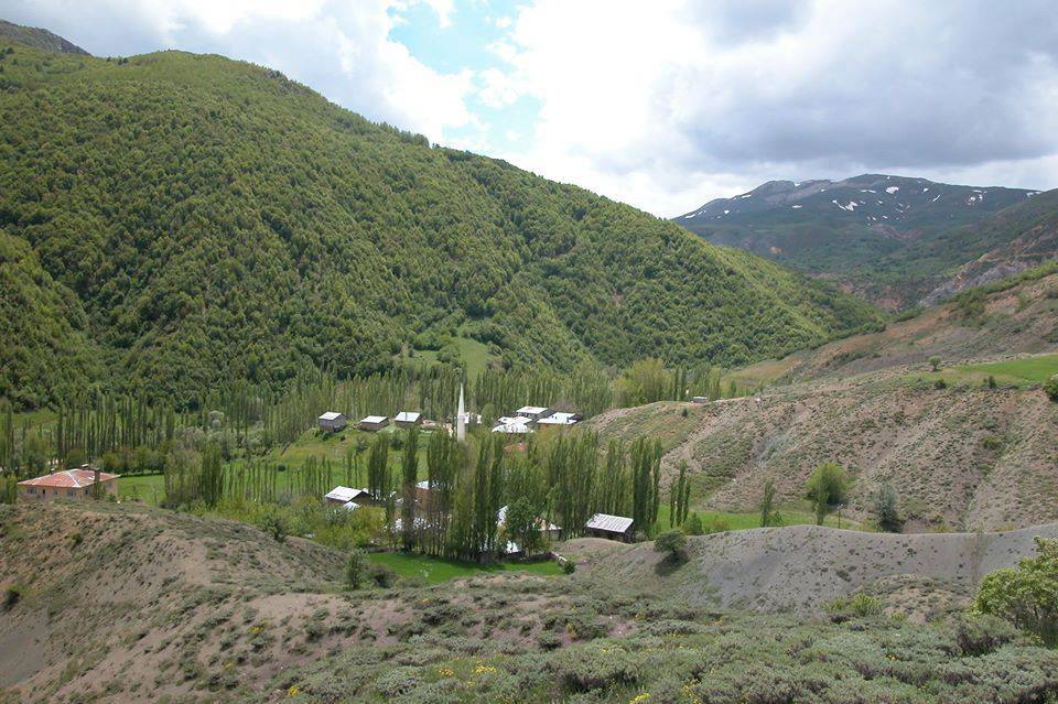 Doğanşar Kozağaç Köyü Resimleri 13