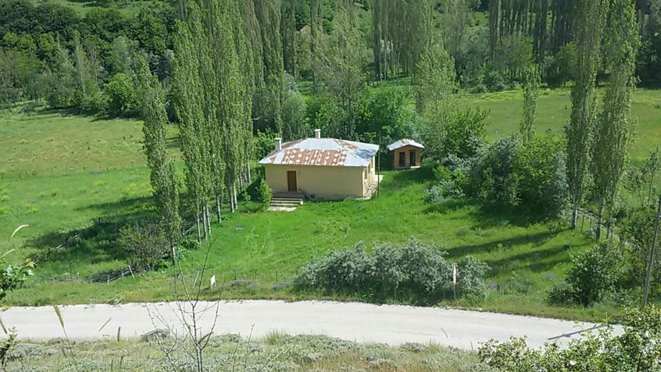 Doğanşar Kozağaç Köyü Resimleri 15