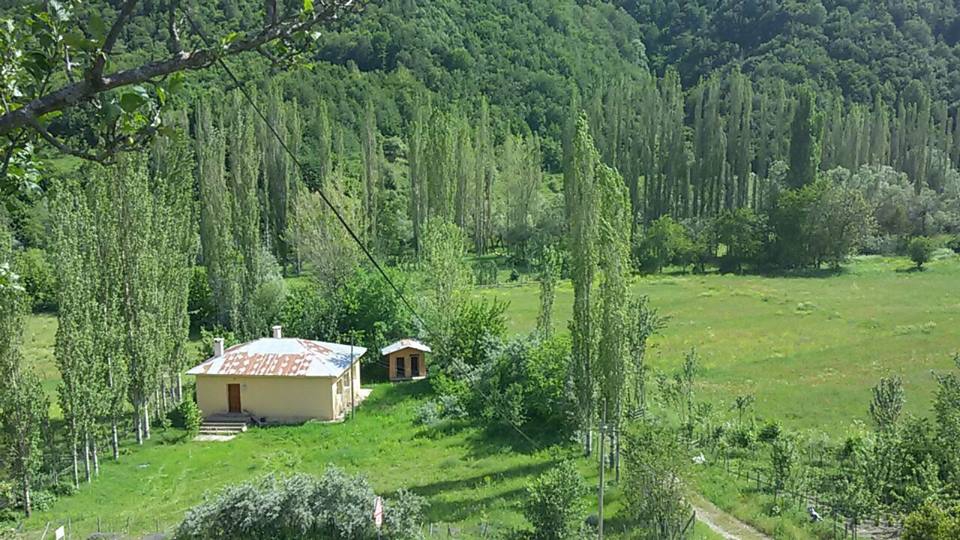 Doğanşar Kozağaç Köyü Resimleri 8