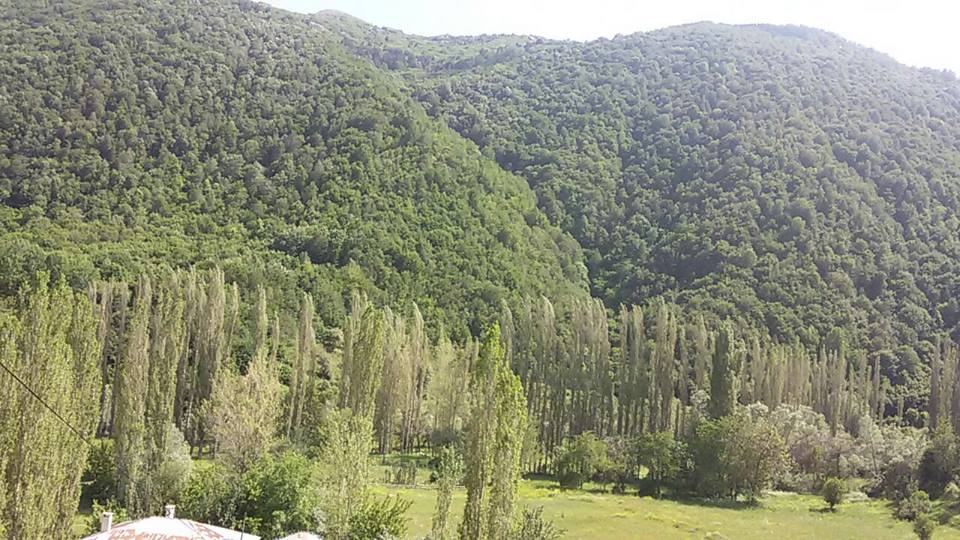 Doğanşar Kozağaç Köyü Resimleri 9