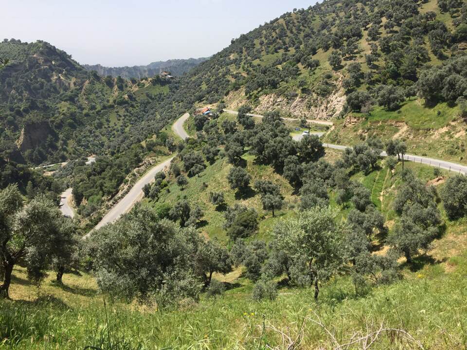 Kuyucak Yukarıyakacık Köyü Resimleri 2