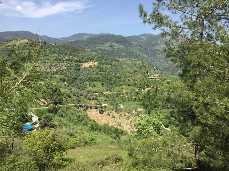 Kuyucak Yukarıyakacık Köyü Resimleri 3