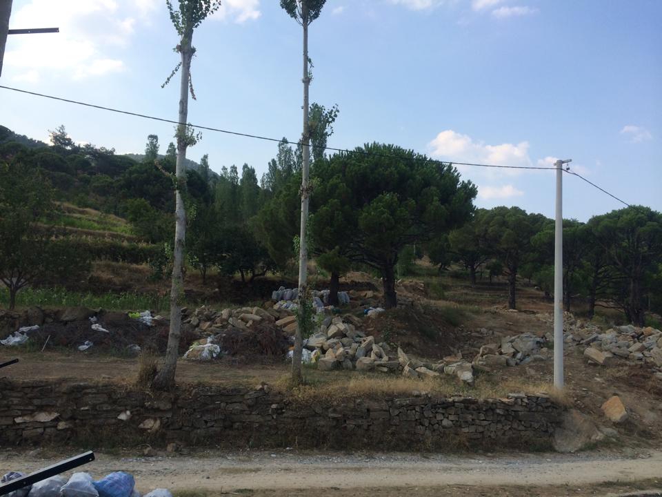 Nazilli Altıntaş Köyü Resimleri 4