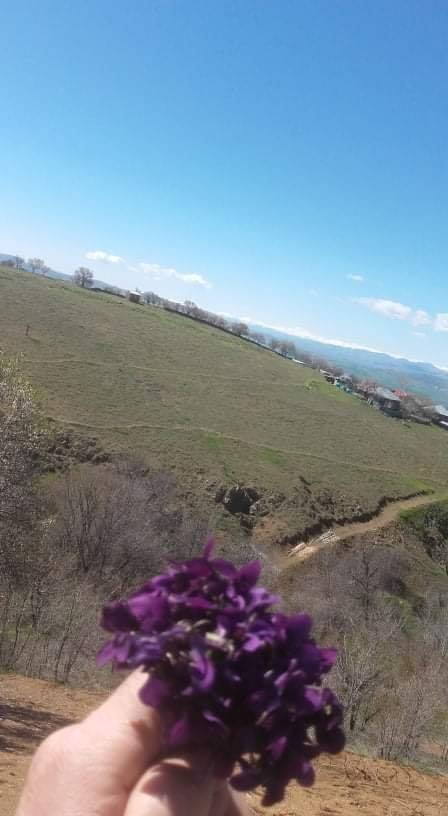 Palu Örgülü Köyü Resimleri 2