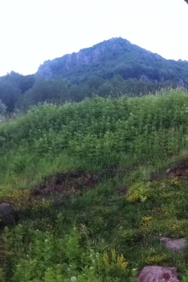 Doğanşar Okçulu Köyü Resimleri 14