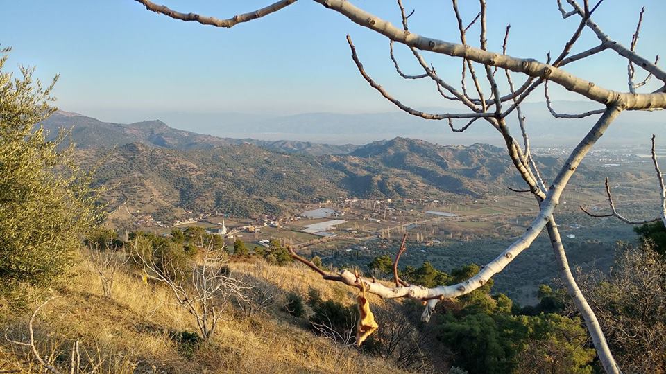 Nazilli Güzel Köyü Resimleri 3