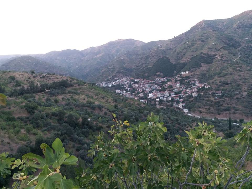 Nazilli Işıklar Köyü Resimleri 2